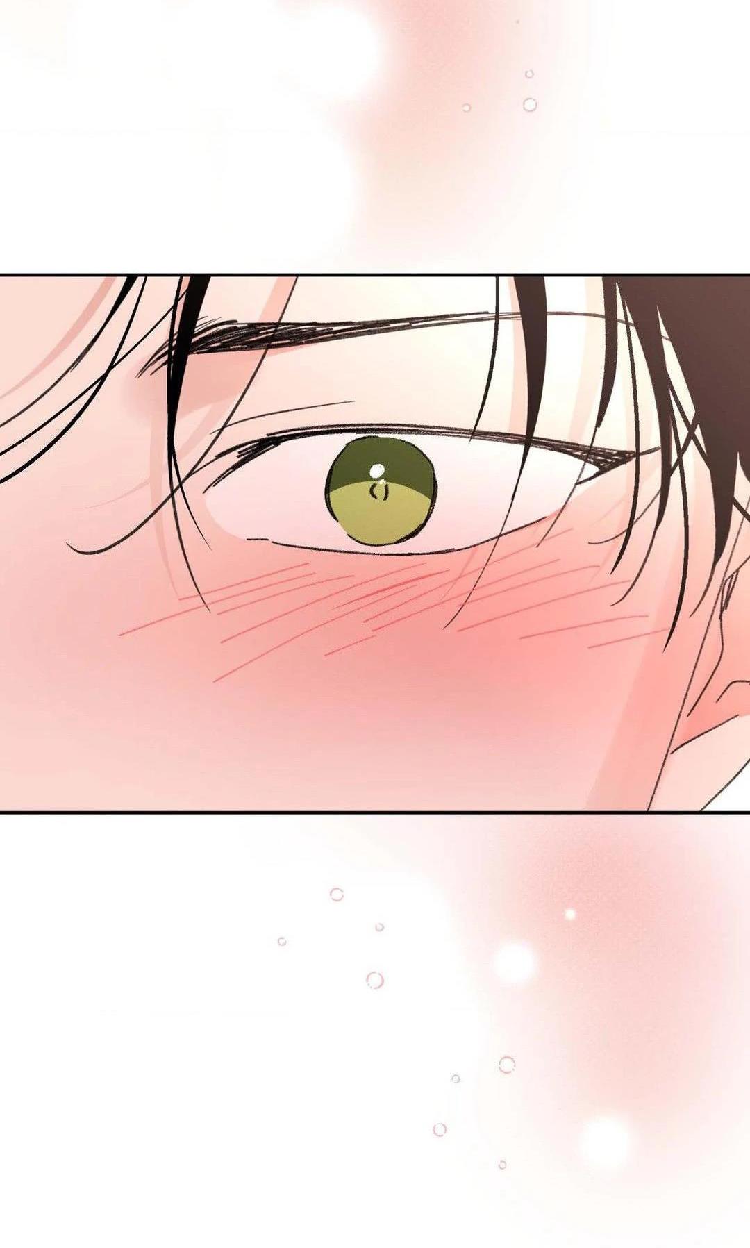 Chiếc Lá Lay Động Theo Giai Điệu Chapter 21 End - Next 