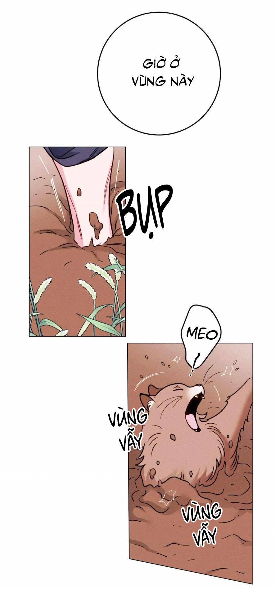 Xuyên Thành Bá Tước Omega Chapter 3 - Trang 3