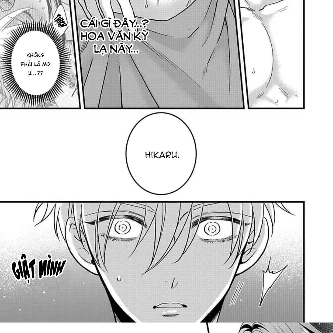 Cô Dâu Của Rồng Chapter 2 - Next Chapter 3