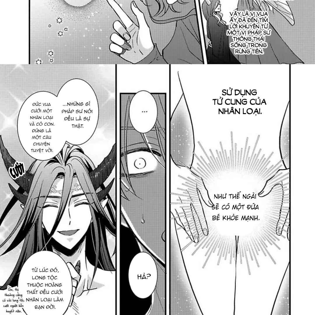 Cô Dâu Của Rồng Chapter 2 - Next Chapter 3