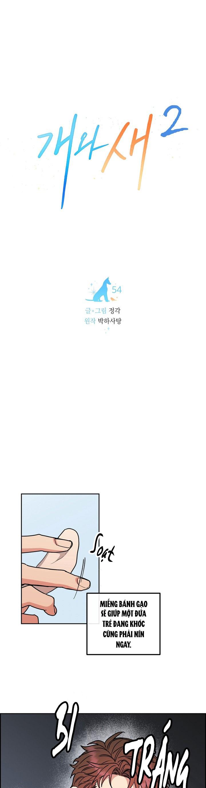 CHÓ VÀ CHIM Chapter 54 - Next 