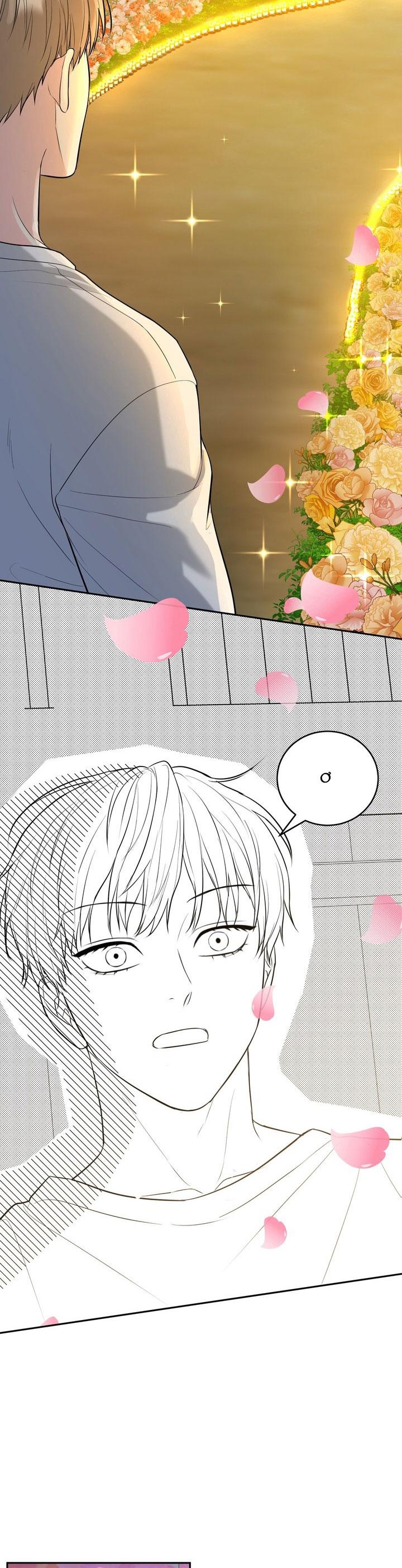 (ABO) HANG HỔ Chapter 65 - Trang 2