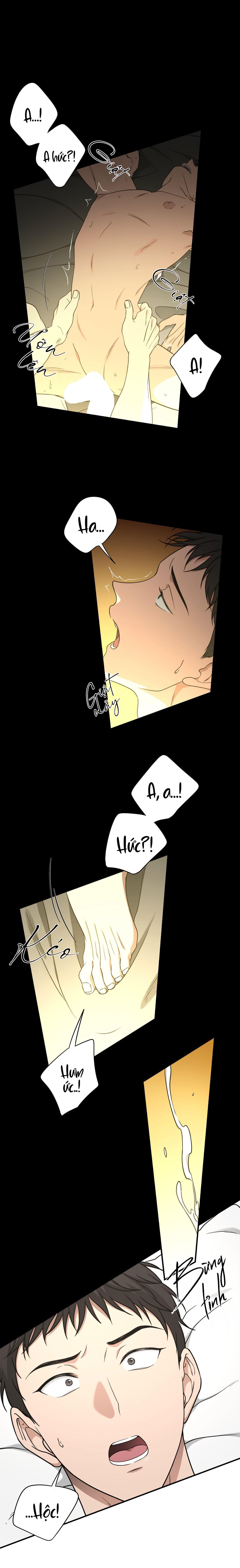 HONEYBEE Chapter 12 - Next 