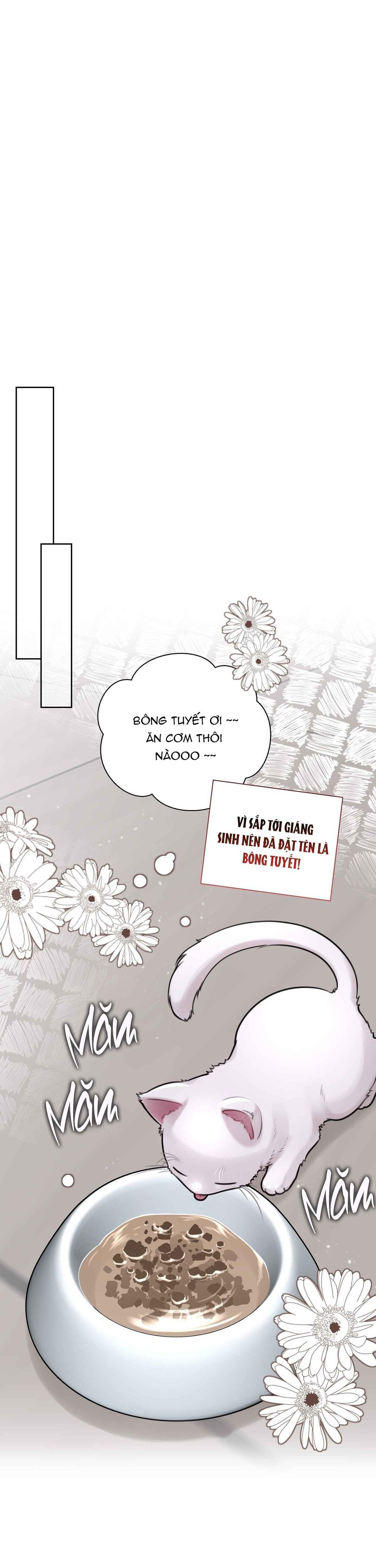NHẬT KÝ GIAM CẦM THƯ KÝ JIN Chapter 49 - Next 