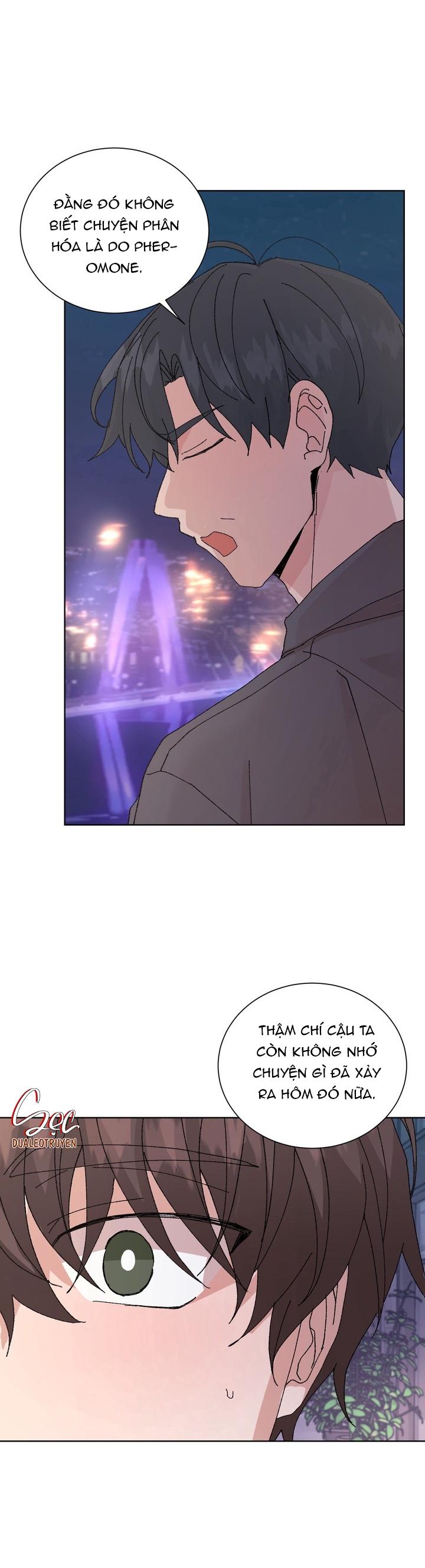 ĐẶC QUYỀN CHO CẶP ĐÔI MỚI CƯỚI Chapter 46 - Trang 3