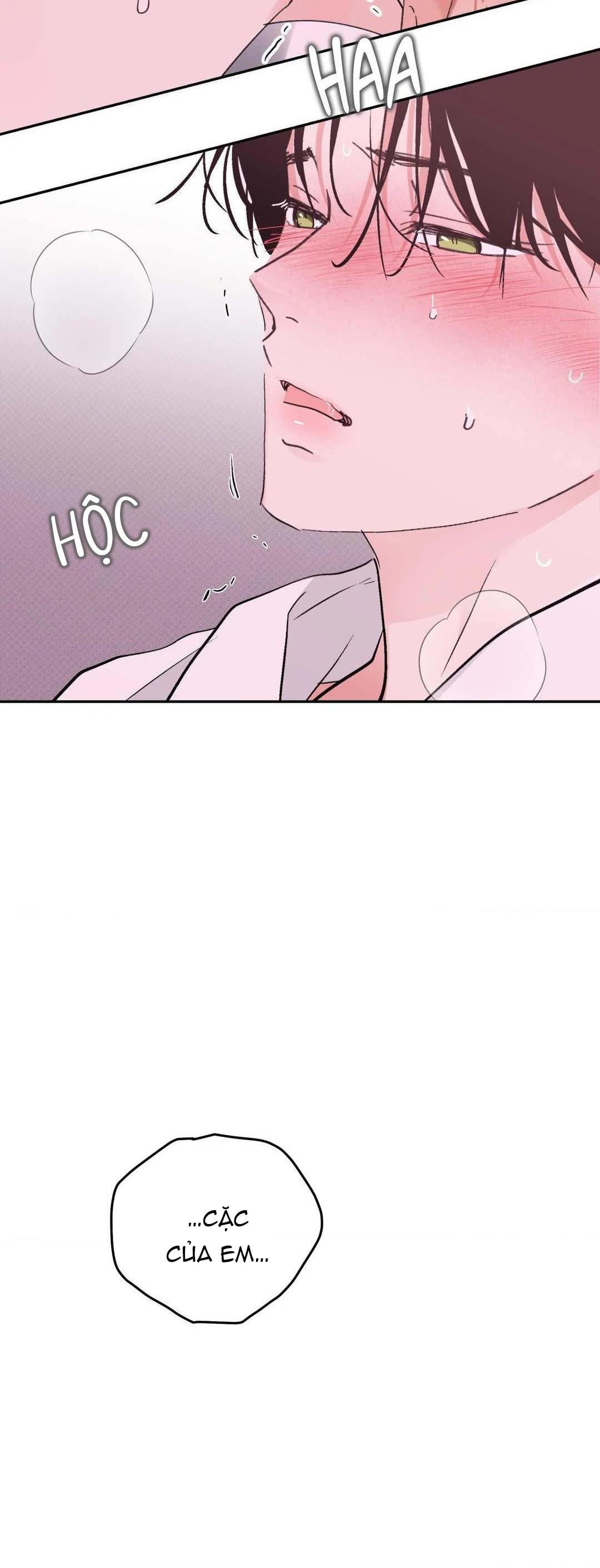 Chiếc Lá Lay Động Theo Giai Điệu Chapter 19 - Next Chapter 20