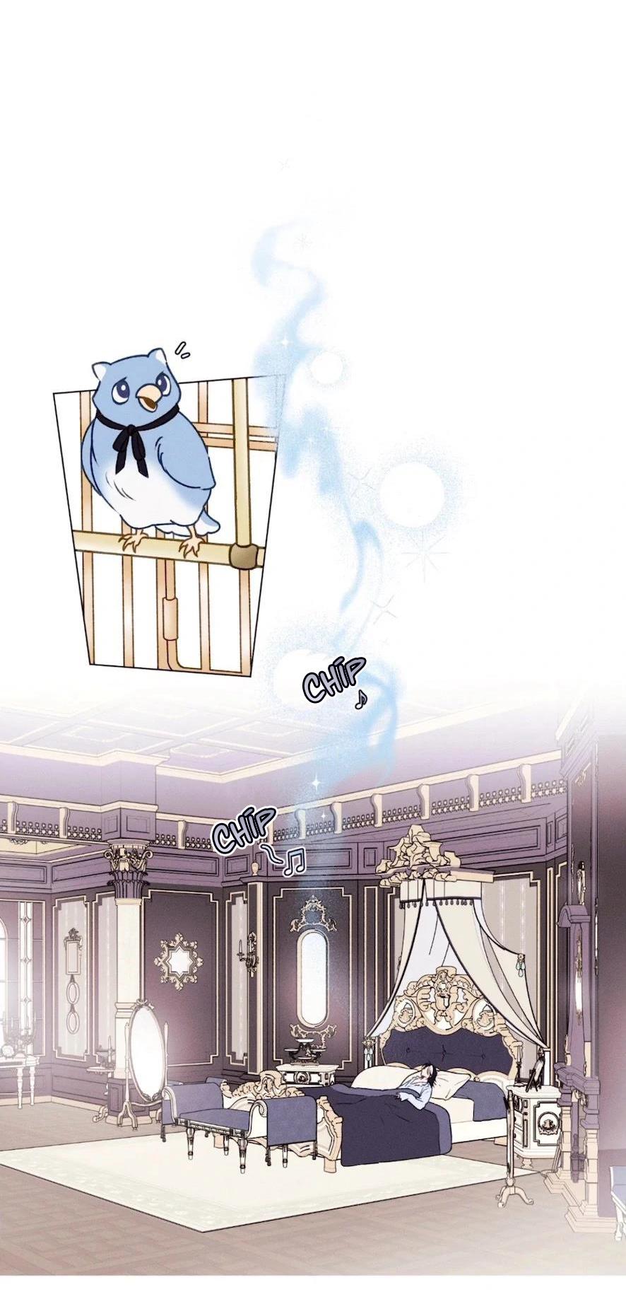 Xuyên Thành Bá Tước Omega Chapter 1 - Next 
