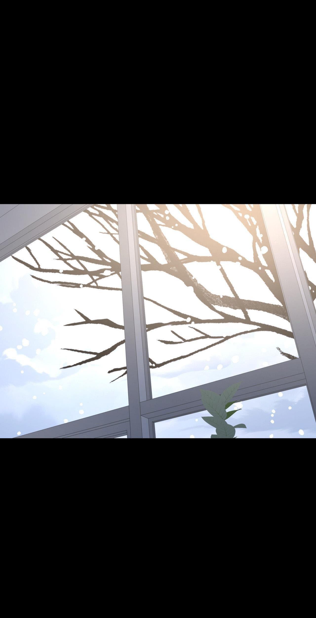(CBunu) Cây Không Có Rễ Chapter 88 H+ - Next Chapter 88.1 Thông báo OFF