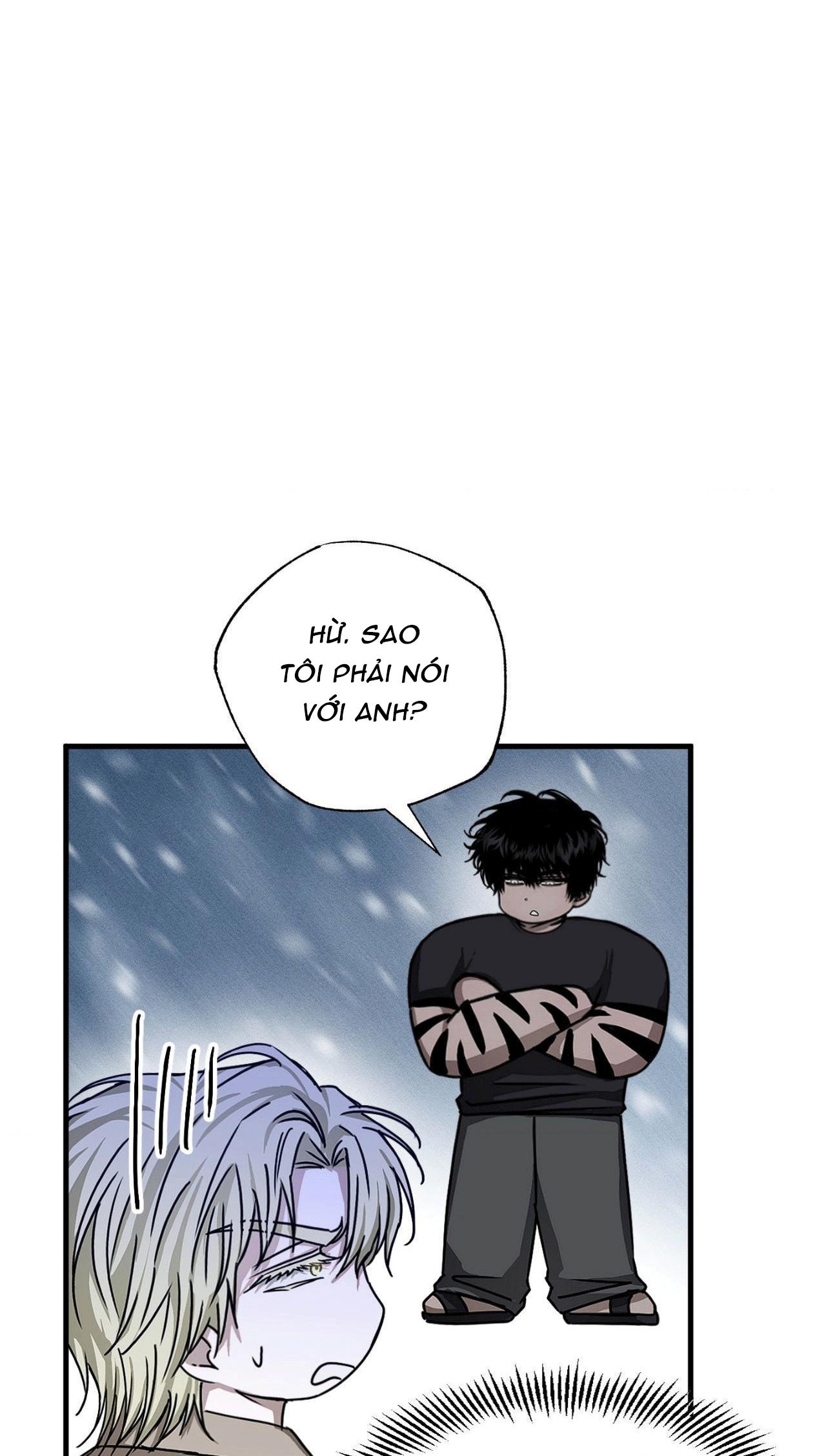 MẮT BÃO Chapter 10 - Next Chapter 11