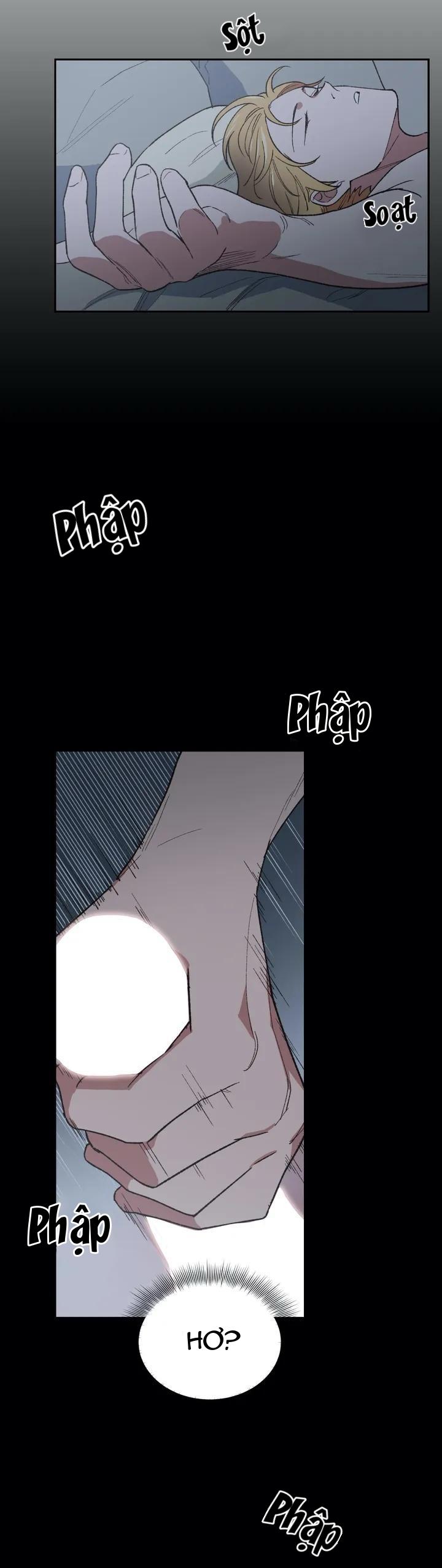Sự Quyến Rũ Cháy Bỏng Chapter 4 Chap 4 - Next Chapter 5 Chap 5