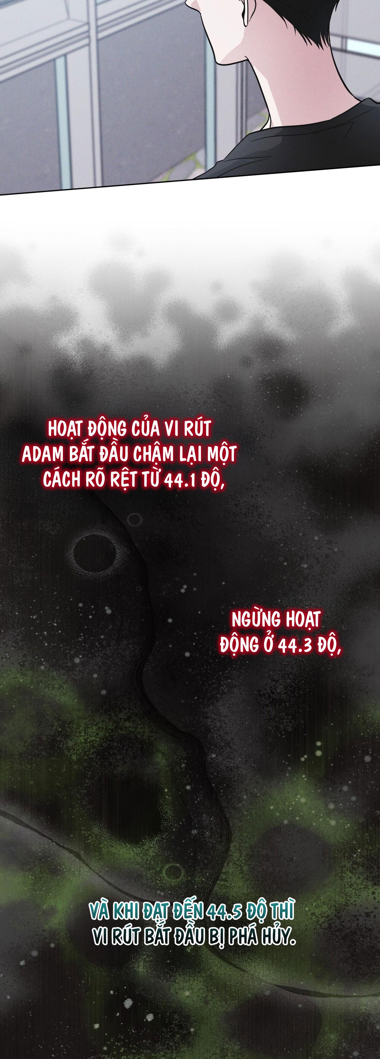 THÀNH PHỐ CẦU VỒNG Chapter 73 - Next Chapter 74
