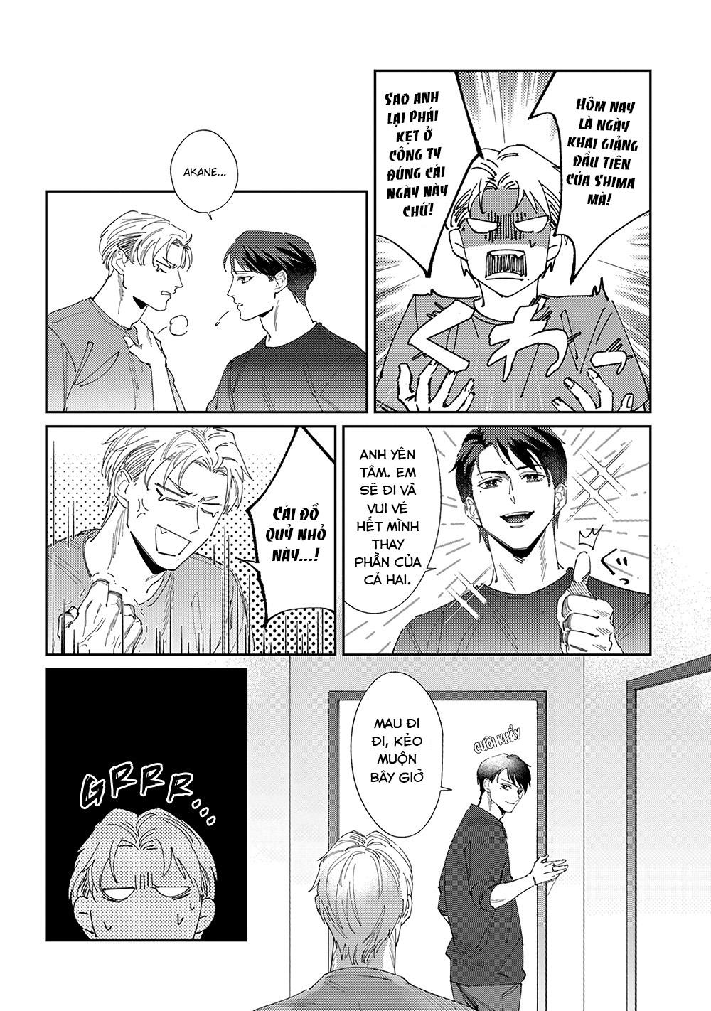 Chuyện Về Cặp Đôi Nhà Shima-chan Chapter 1 - Trang 2