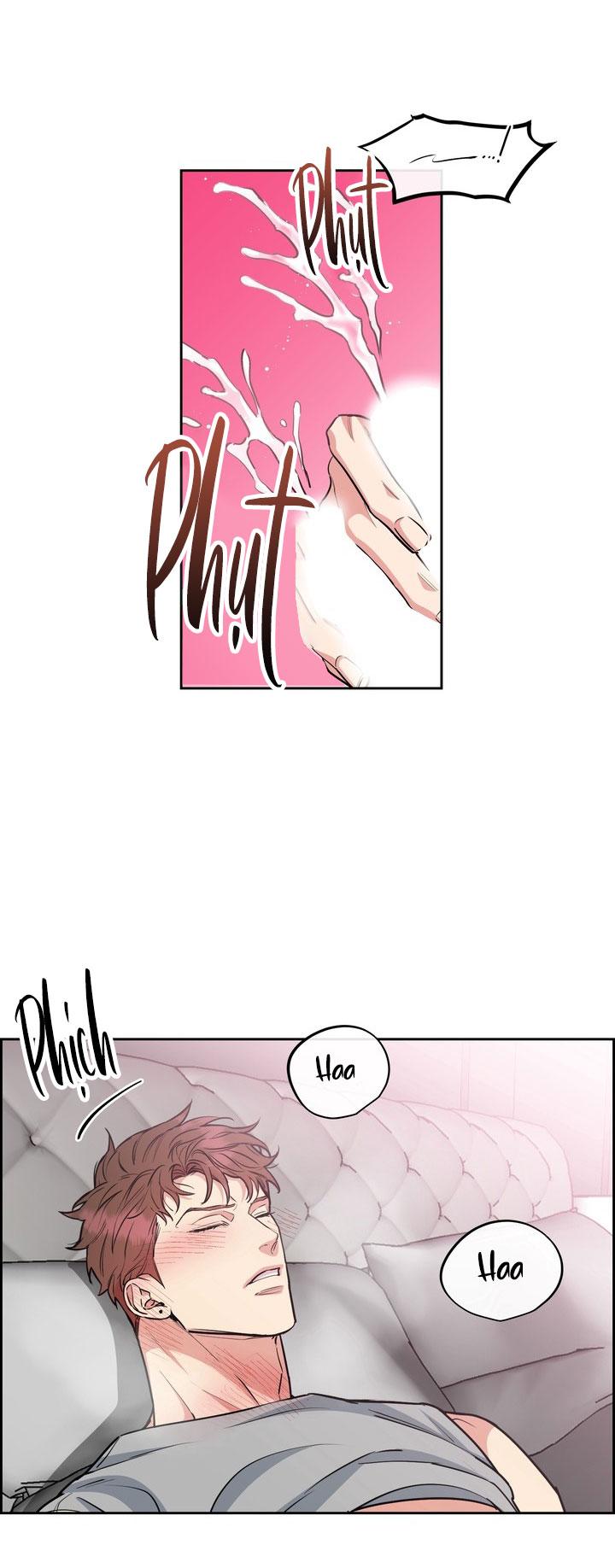 CHÓ VÀ CHIM Chapter 52 - Next Chapter 53