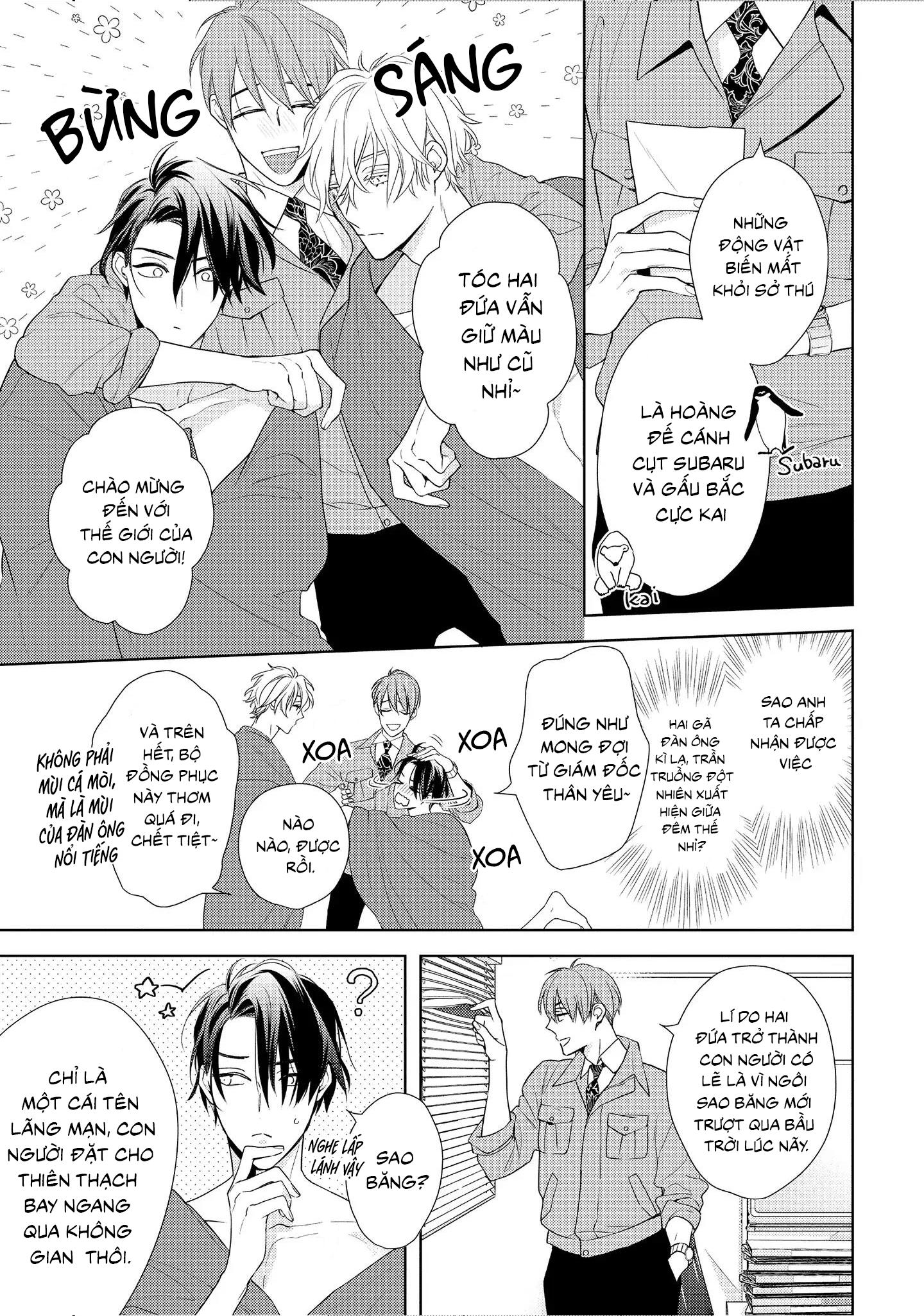 Đêm Diệu Kỳ Chapter 1 - Next 