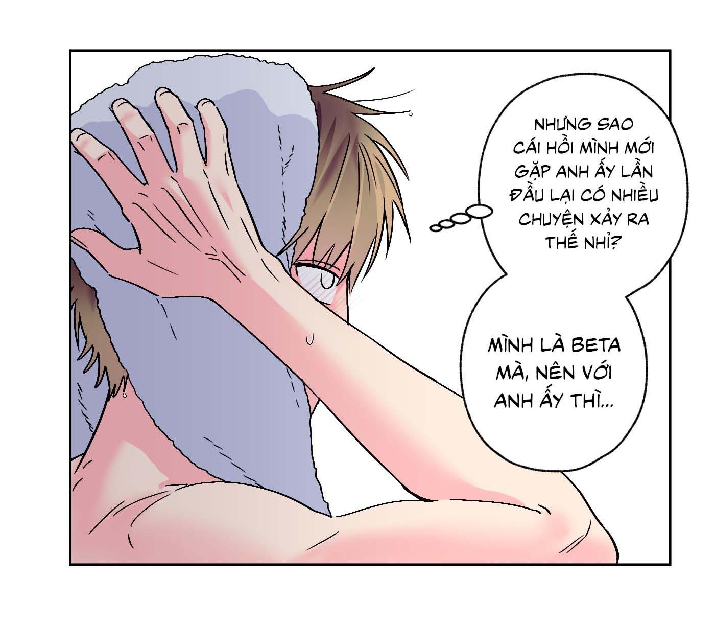 Vụ bê bối của Beta Chapter 46 - Next Chapter 47