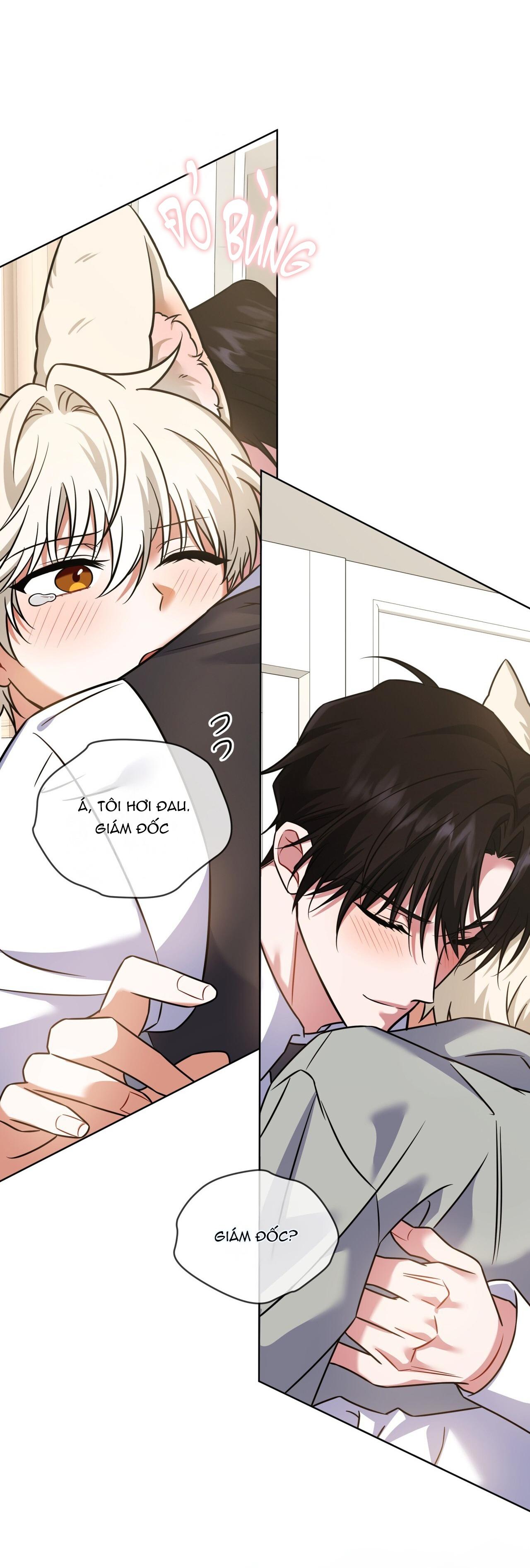 NƯỚC UỐNG TÌNH YÊU CỦA CÁO PLIN Chapter 38 - Next Chapter 39