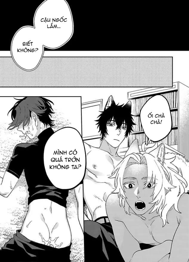 Hai Chú Chó Rắc Rối Chapter 2 - Trang 2