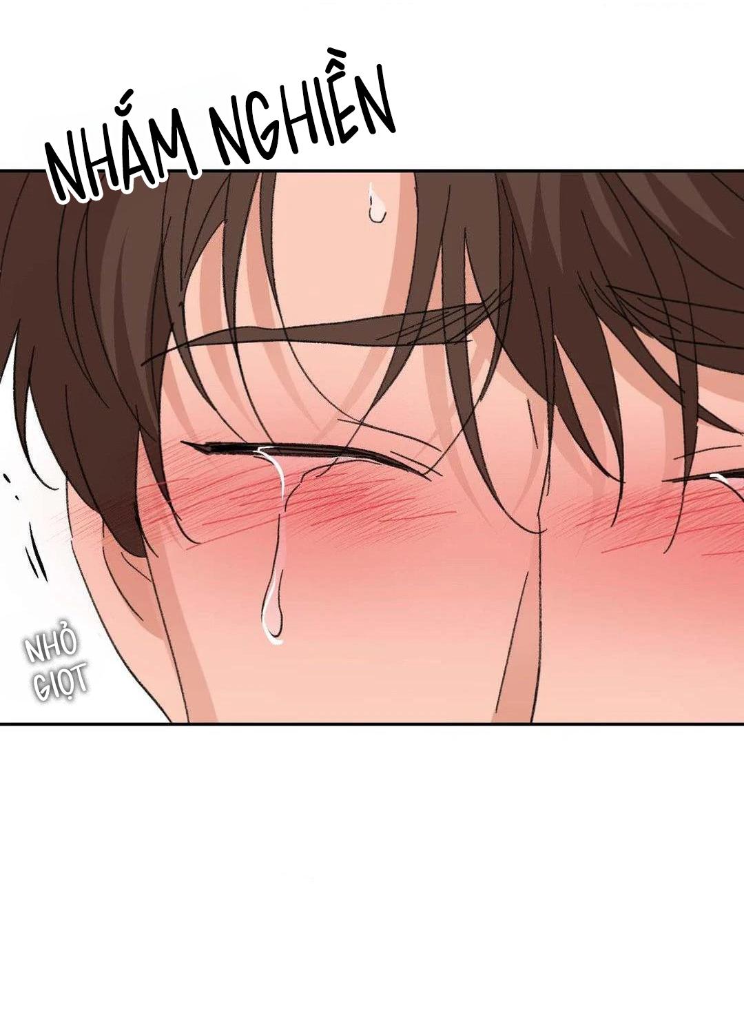 Chiếc Lá Lay Động Theo Giai Điệu Chapter 21 End - Next 