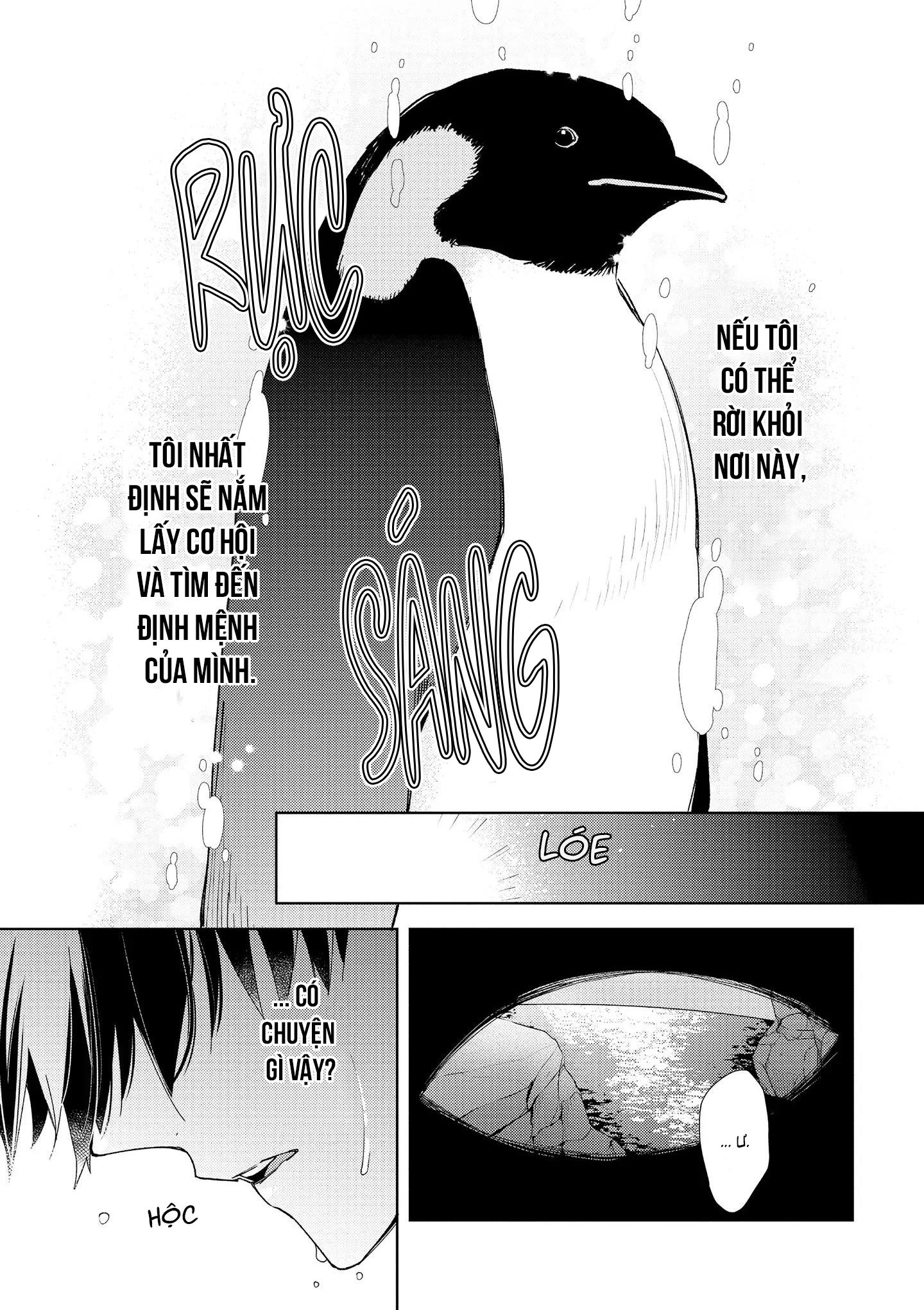 Đêm Diệu Kỳ Chapter 1 - Next 