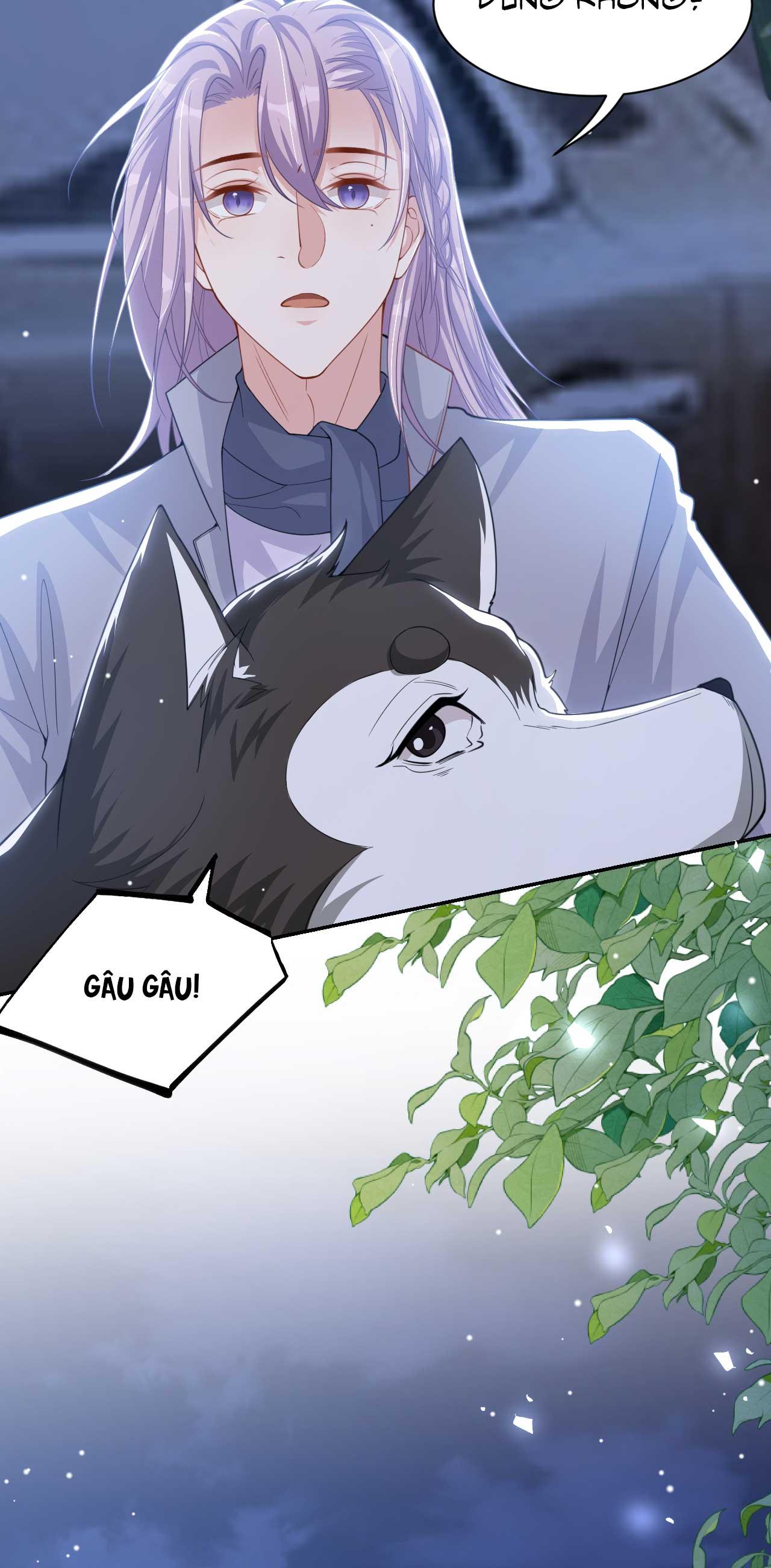 Quan hệ thế thân Chapter 198 - Next Chapter 199
