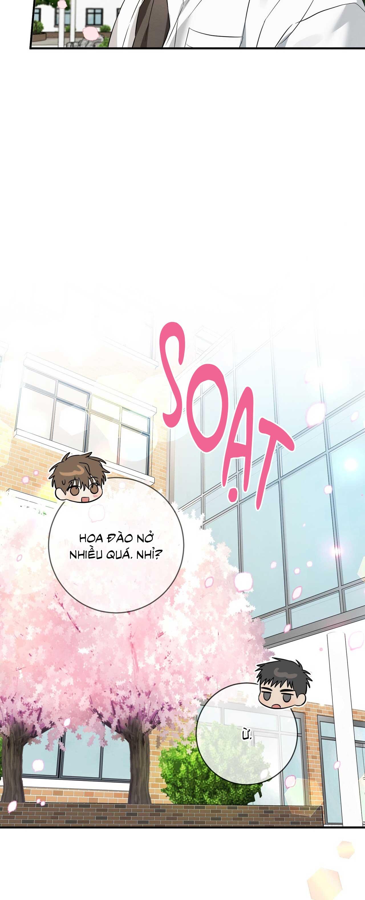 TÌNH YÊU MẬN NGỌT NGOẠI TRUYỆN Chapter 1 - Trang 2