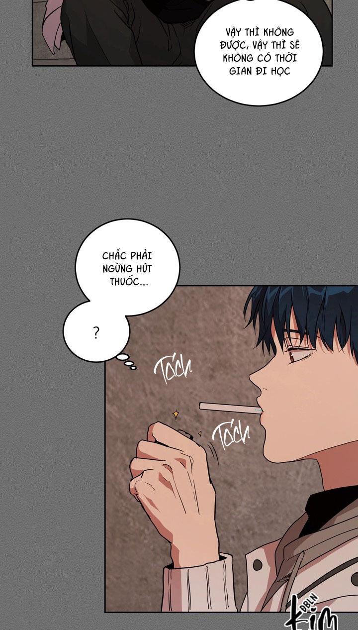 BÁNH QUY TÌNH YÊU TAN CHẢY Chapter 37 - Next 