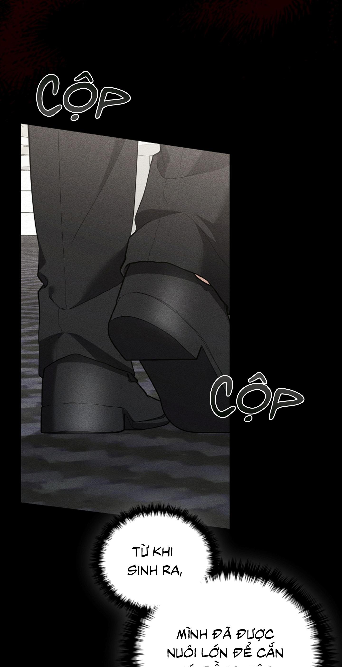 ĐỪNG ĐỘNG VÀO CÚN CON! Chapter 39 - Next 