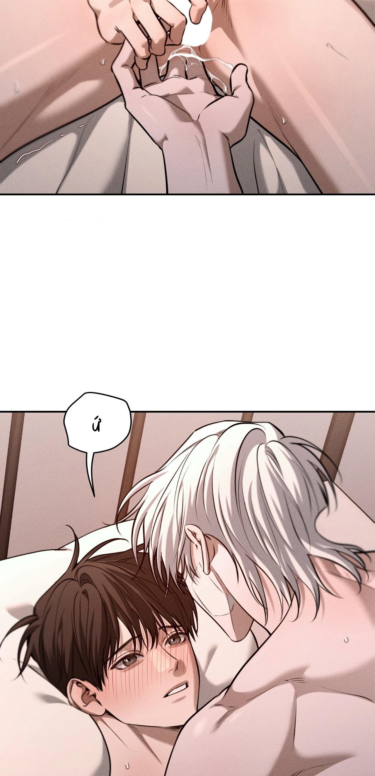 DEAR, TEDDY BEAR Chapter 43 - Trang 2