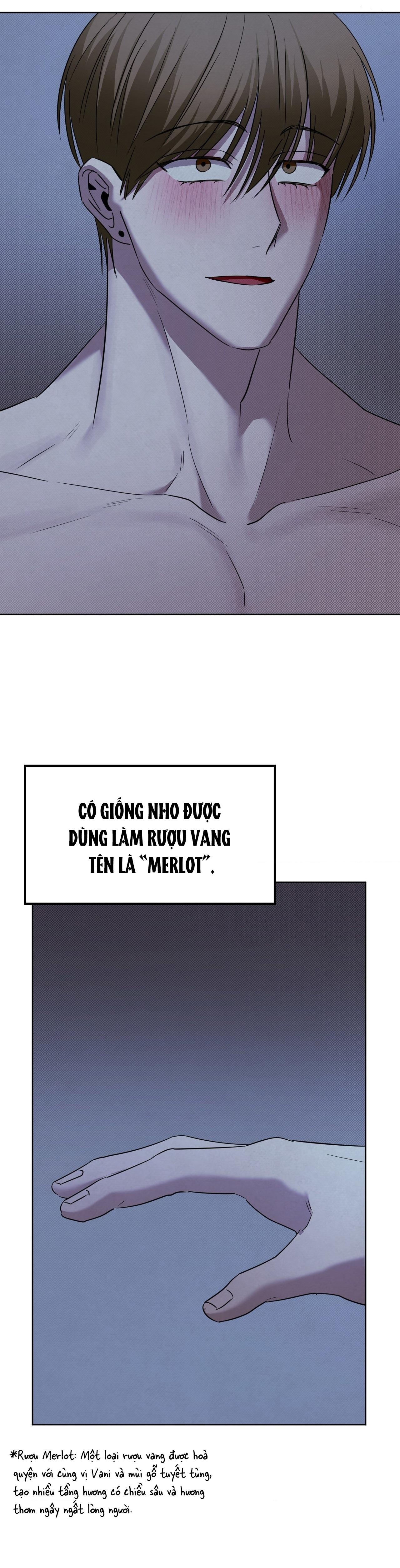 TRANH VẼ Chapter 17 - Next Chapter 18