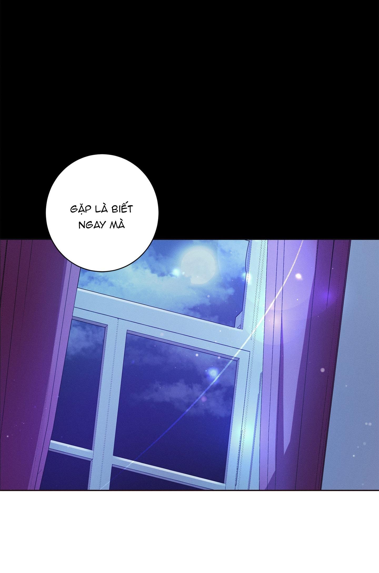 TUYỂN TẬP NHẤT THỤ ĐA CÔNG CỦA NHÀ KIM Chapter 41.2 bóng ma 2 - Next Chapter 41.3 bóng ma 3