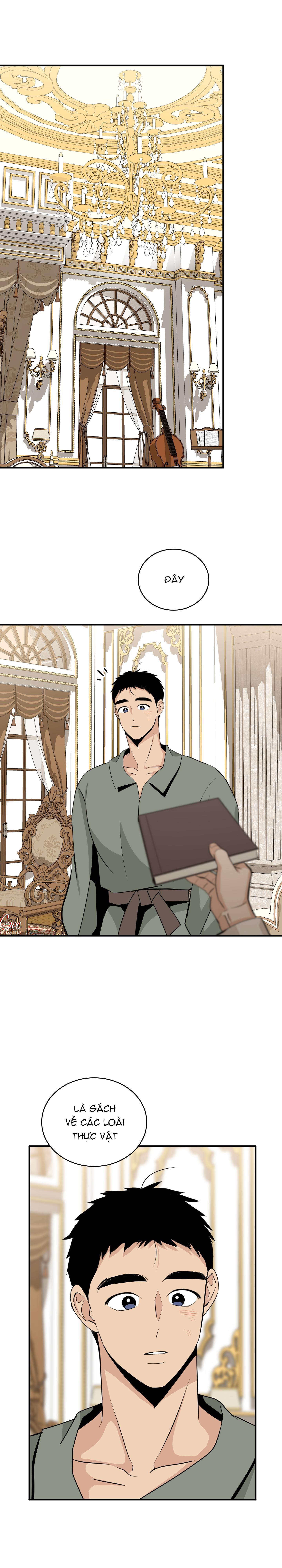 ĐÓA HOA KHÔNG TÊN Chapter 23 - Next 