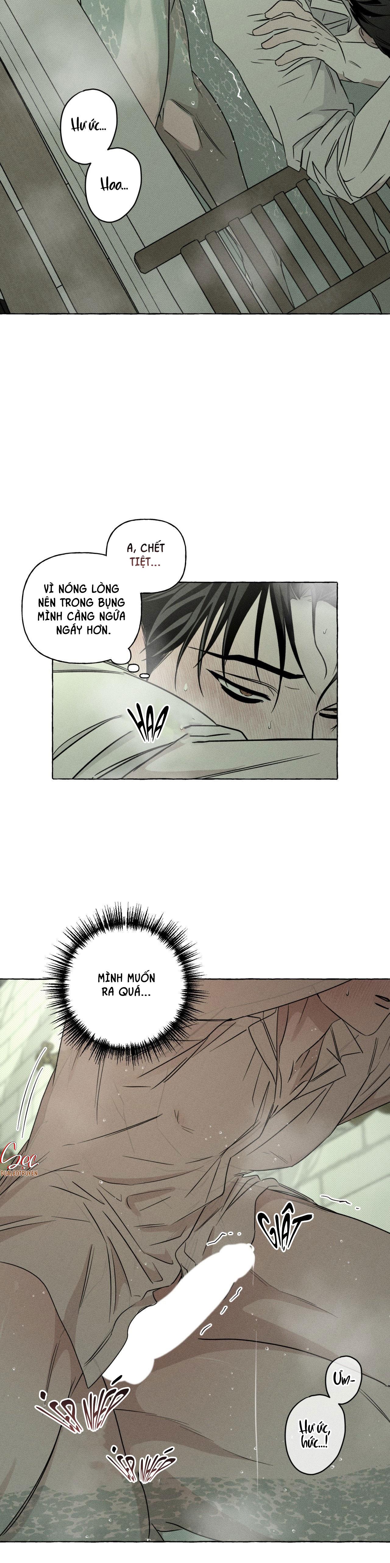 XƯƠNG VÀ CÁNH HOA Chapter 45 - Next Chapter 46