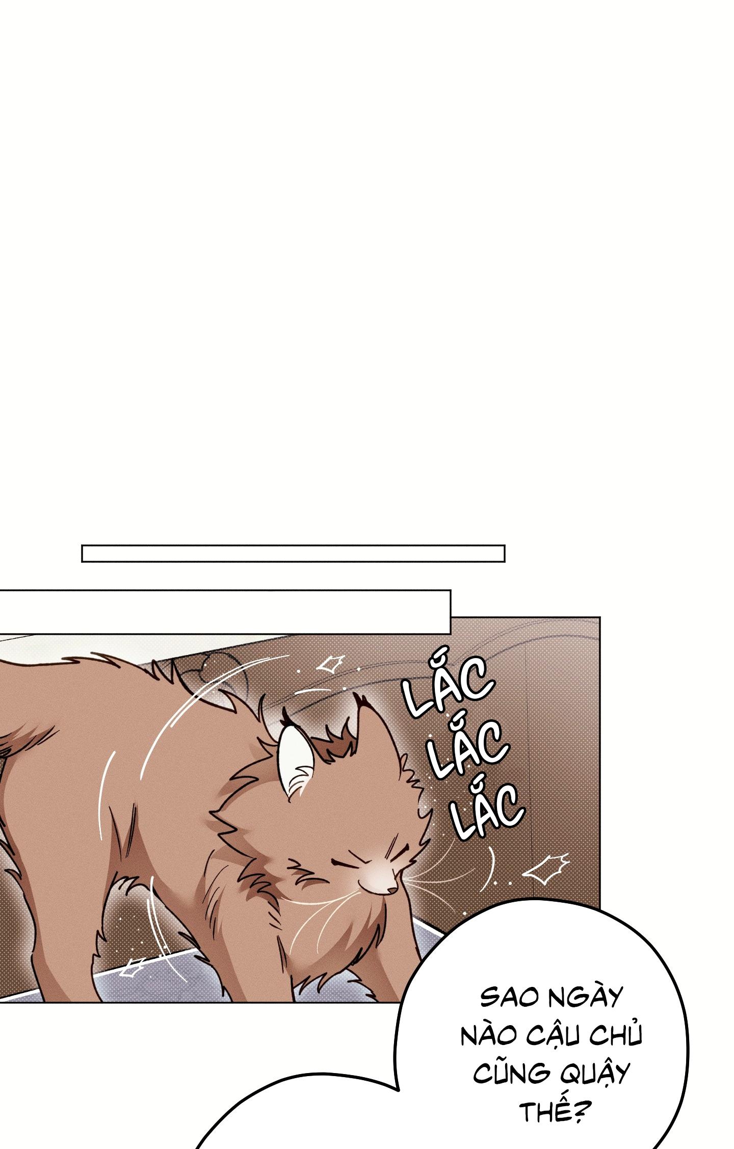 Xuyên Thành Bá Tước Omega Chapter 4 - Next 