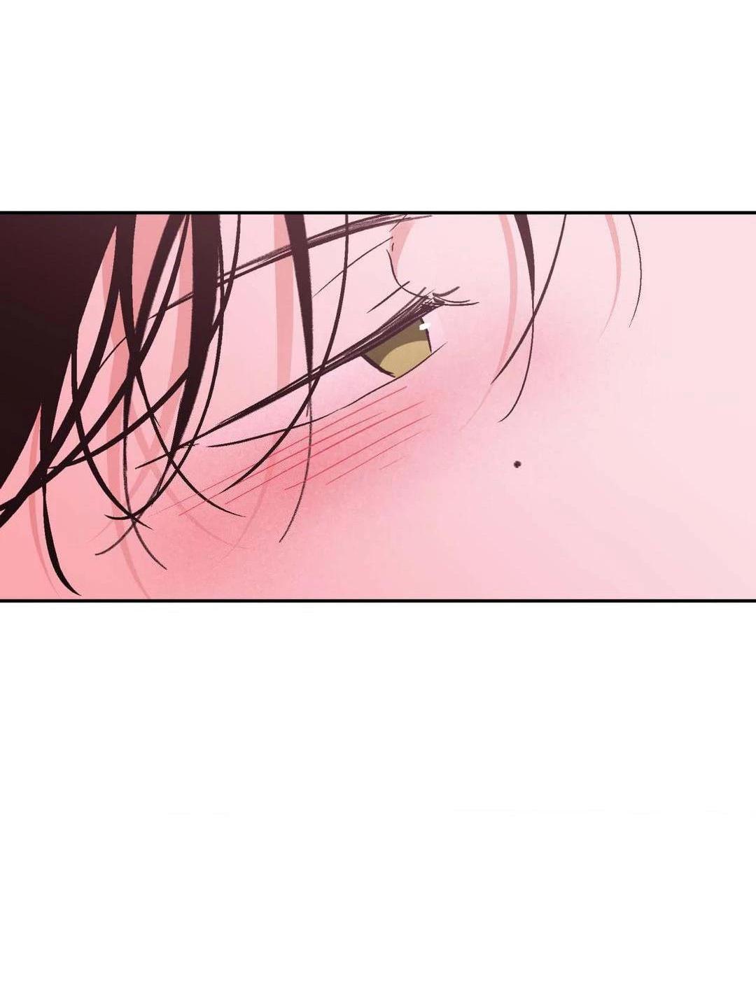 Chiếc Lá Lay Động Theo Giai Điệu Chapter 19 - Next Chapter 20
