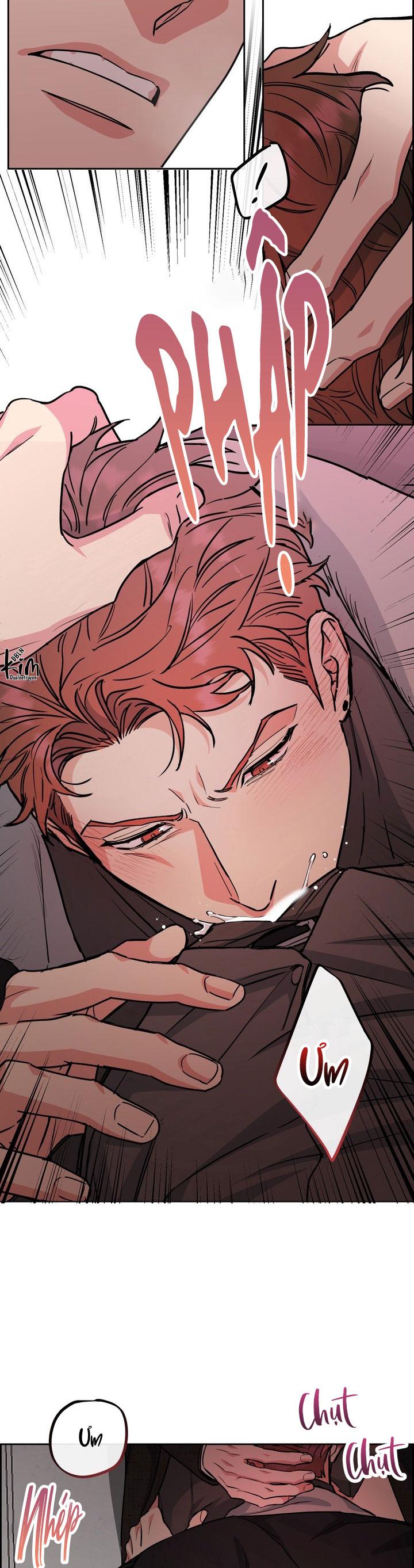 CHÓ VÀ CHIM Chapter 55 - Next Chapter 56 END