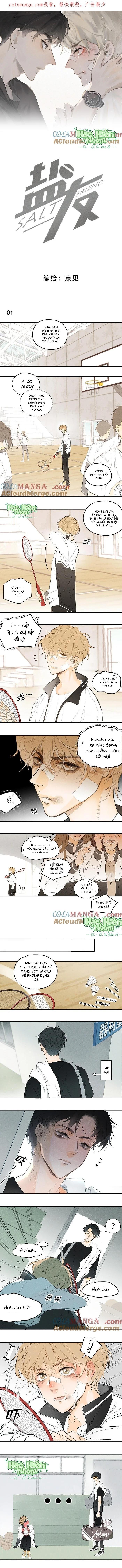Người Bạn 'Mặn Mà' Chapter 1 Hachiennhom - Next 