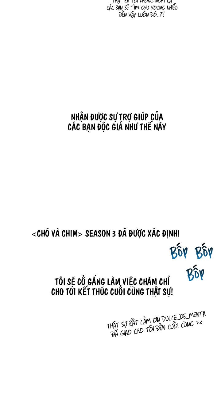 CHÓ VÀ CHIM Chapter 57 thông báo - Next 