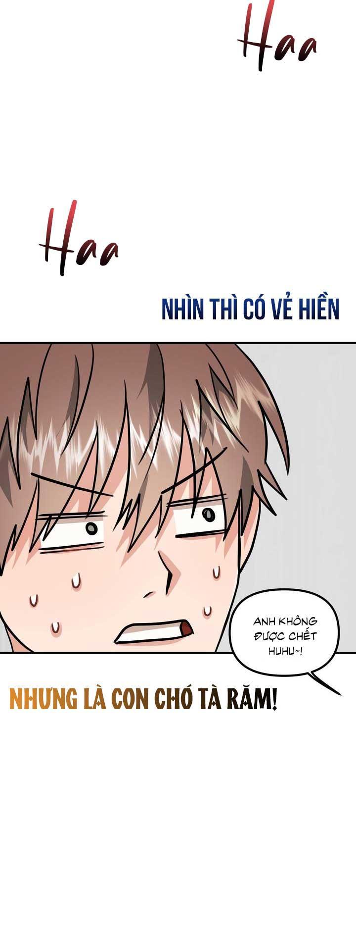 TỔNG HỢP MANHWA BL NGẮN Chapter 1.4 END - Next Chapter 2.1 Dog Fur Romance