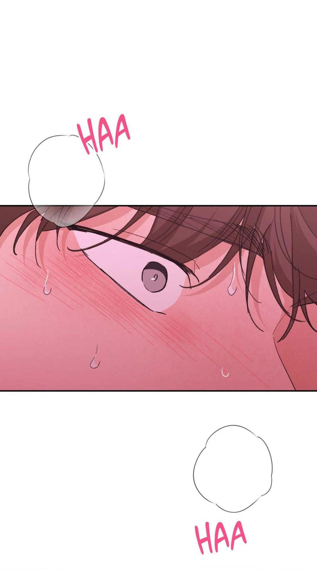 Chiếc Lá Lay Động Theo Giai Điệu Chapter 19 - Next Chapter 20