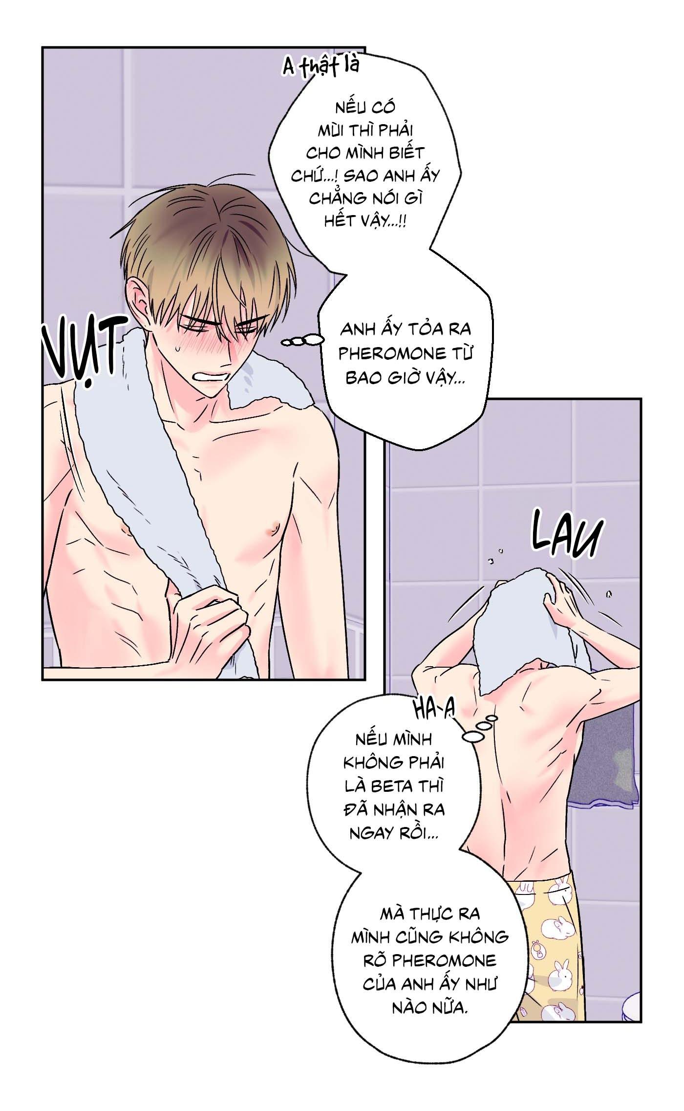 Vụ bê bối của Beta Chapter 46 - Next Chapter 47
