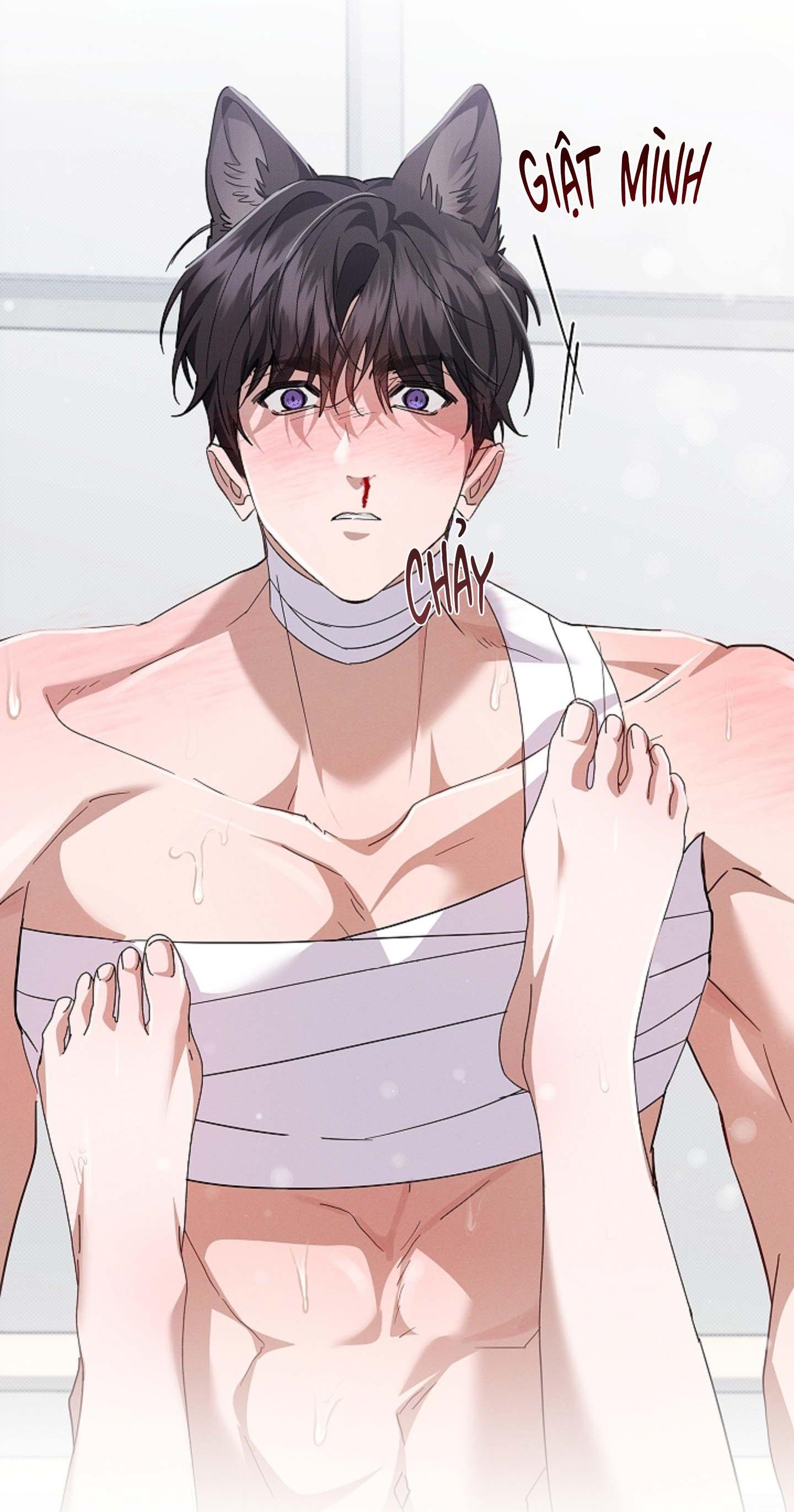 ĐỪNG ĐỘNG VÀO CÚN CON! Chapter 41 - Next 