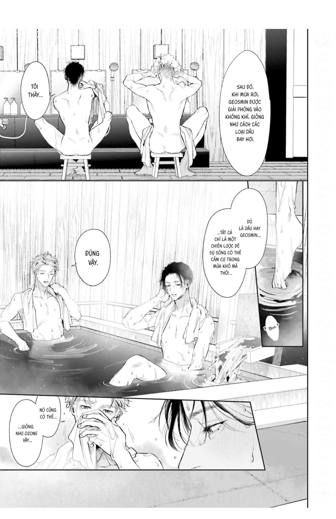 Vị ngọt của sự buông thả Chapter 3 Hachiennhom - Next Chapter 4 Hachiennhom