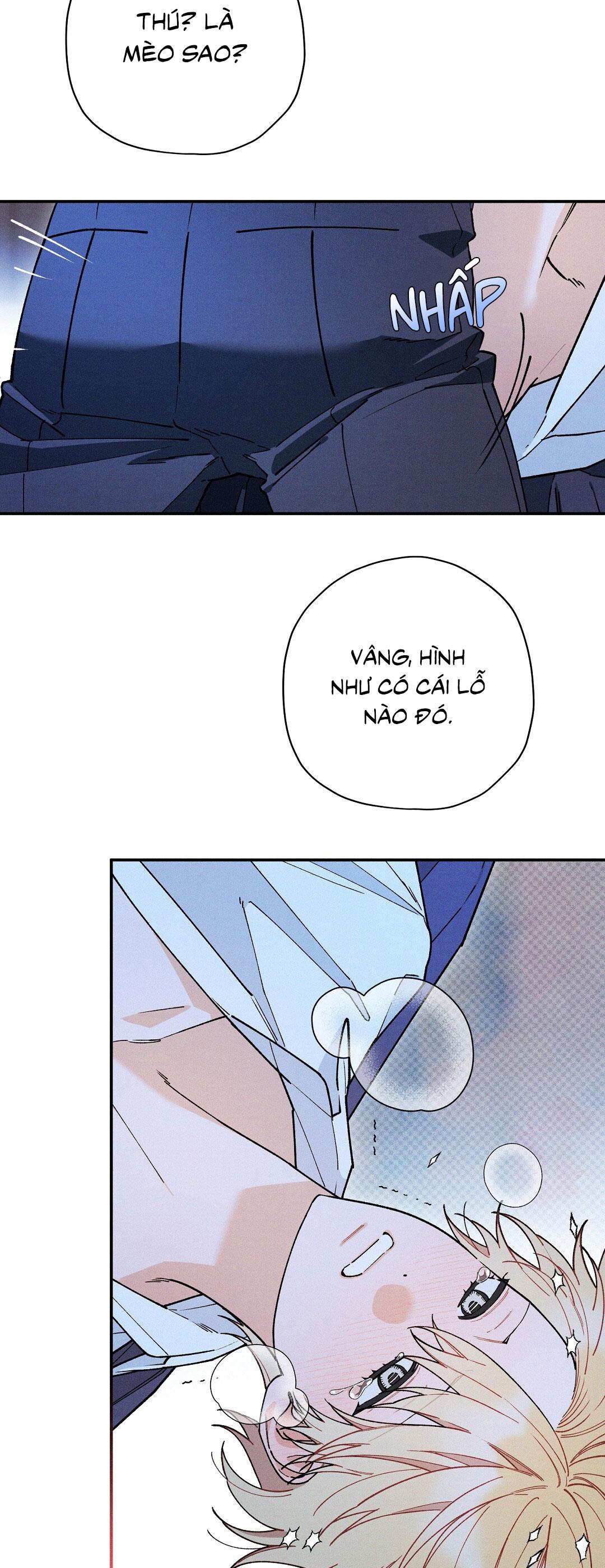HOÀNG TỬ HƯ HỎNG CHE GIẤU MÌNH LÀ OMEGA Chapter 70 - Next Chapter 71