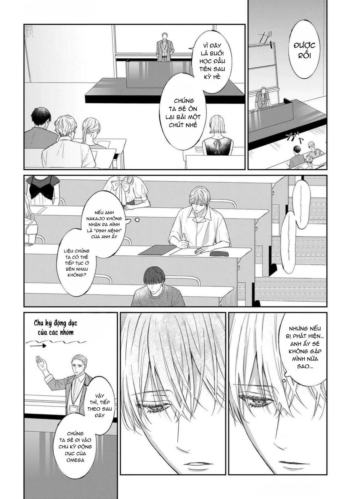 Khi Định Mệnh Hoá Yêu Thương Chapter 5 - Next Chapter 6 END