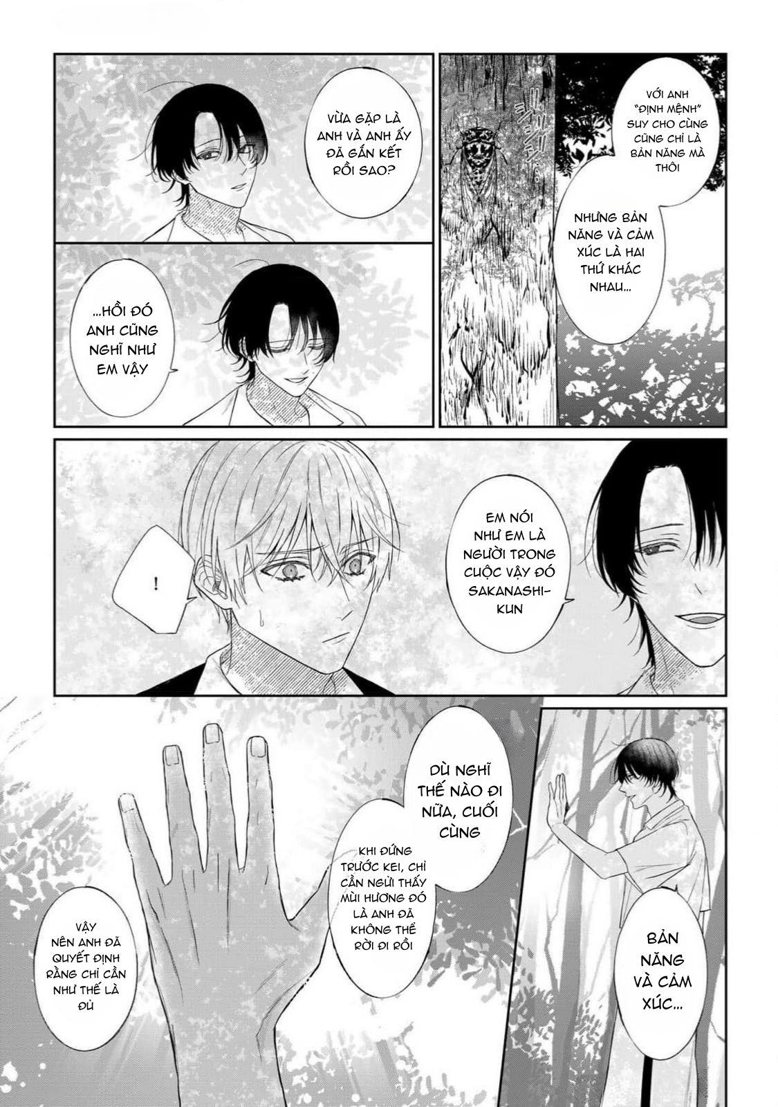 Khi Định Mệnh Hoá Yêu Thương Chapter 4 - Next Chapter 5