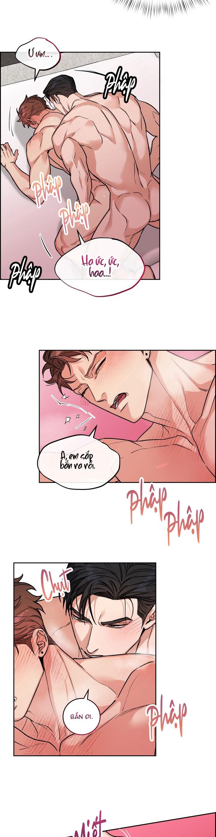 CHÓ VÀ CHIM Chapter 56 END - Next 