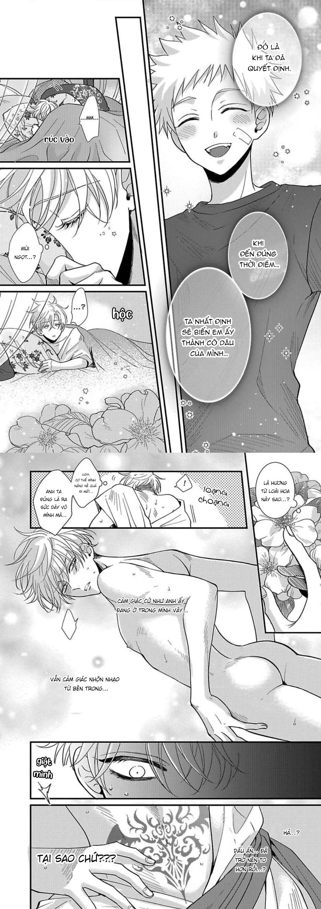 Cô Dâu Của Rồng Chapter 3 - Next Chapter 4