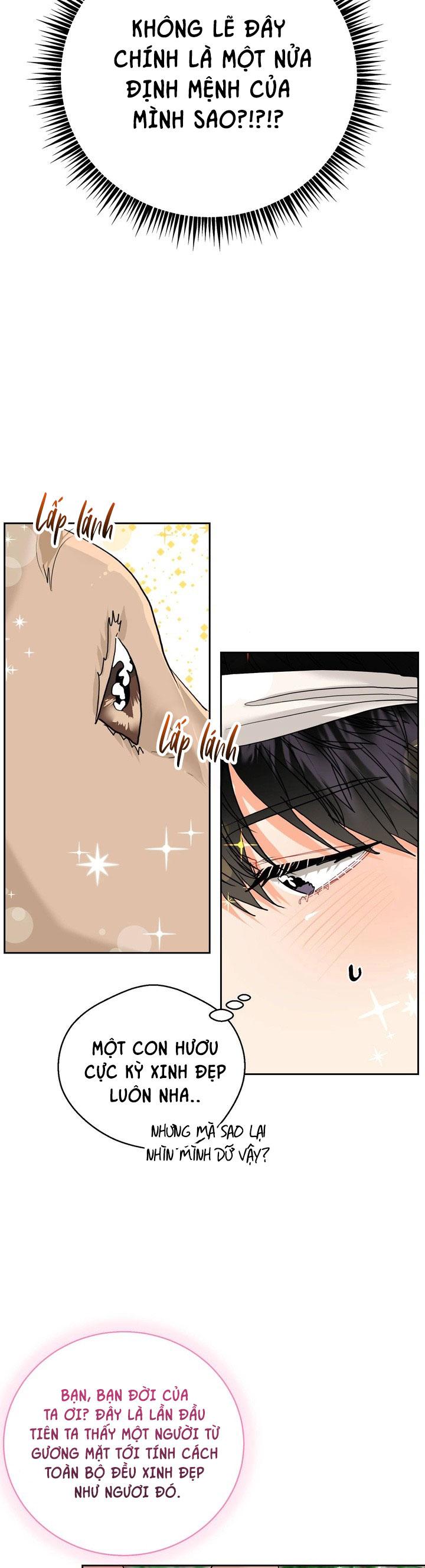 (ABO) OMEGA CỦA ANH TRAI Chapter 17 - Trang 2