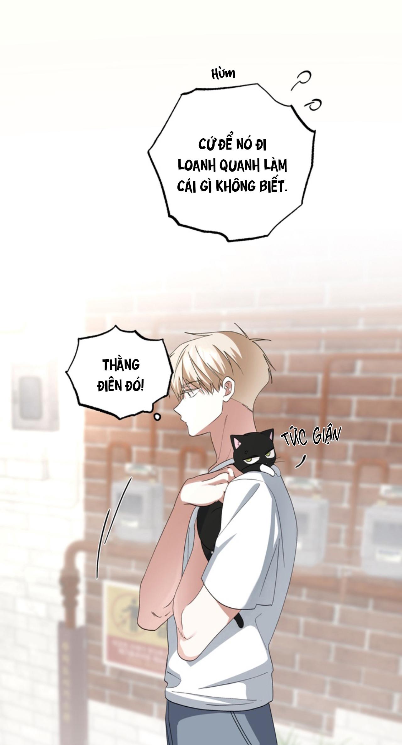 XIN HÃY YÊU THƯƠNG DÙ TÔI LÀ CHUỘT Chapter 6 - Trang 2