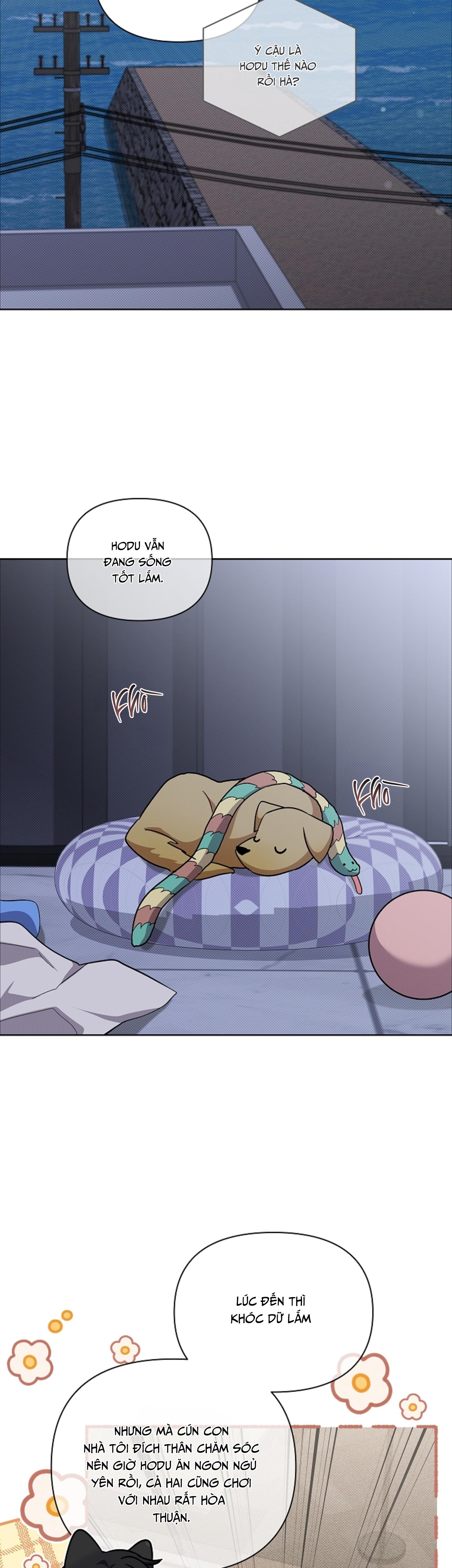 ĐỪNG CHẠM VÀO CÚN CON CỦA TÔI Chapter 49 NT5 - Next 